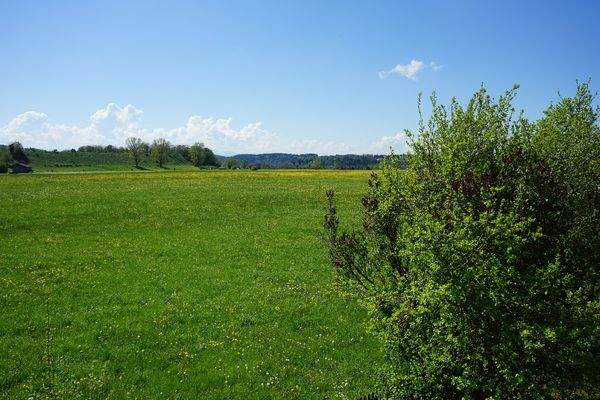 Bild 12