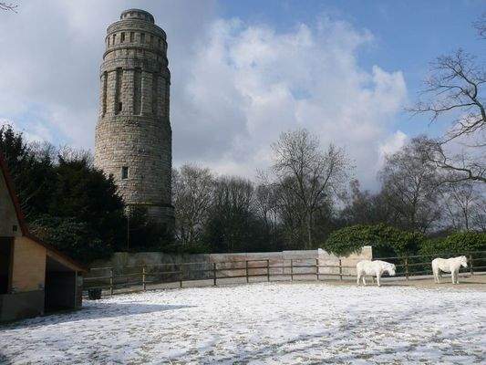 mit Bismarckturm,