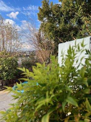 Außen_Terrasse Rheinblick.jpg