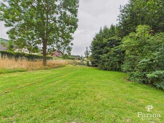 Wiesen- und Gartenfläche