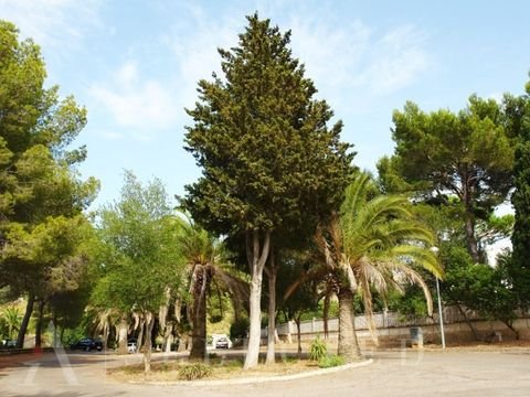 Alcúdia Grundstücke, Alcúdia Grundstück kaufen