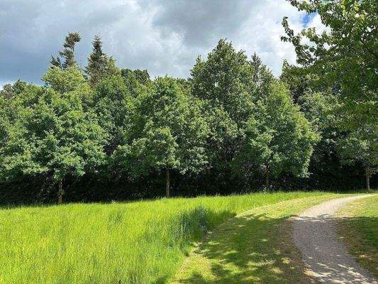 Landschaftsschutzgebiet