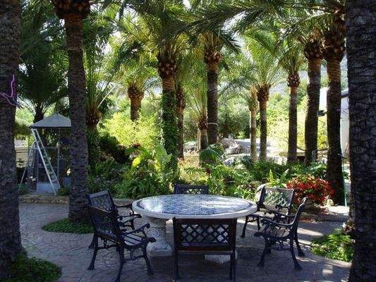 Ruhesitz unter Palmen