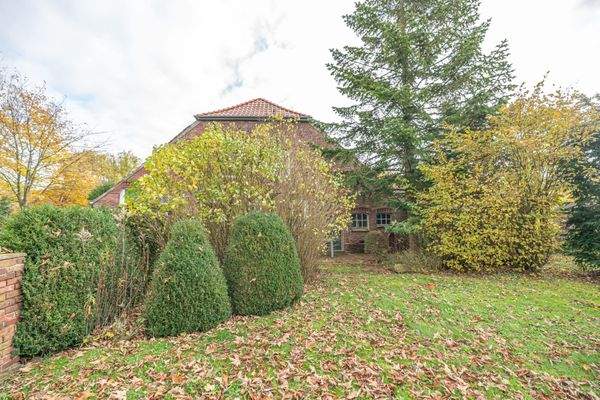 Außenansicht / Garten