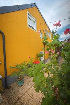 Image Sep 4, 2025, 11_04_10 PM