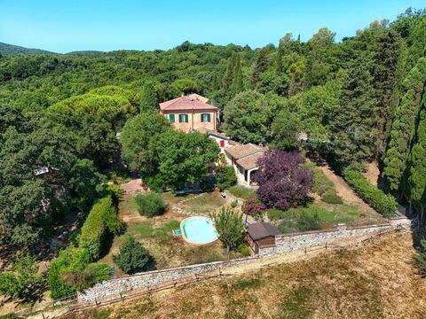 Sassetta Häuser, Sassetta Haus kaufen