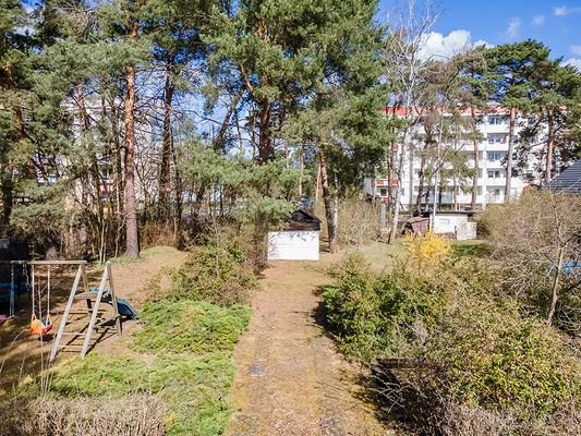 Sehr sonniges Grundstück mit Waldkieferbestand