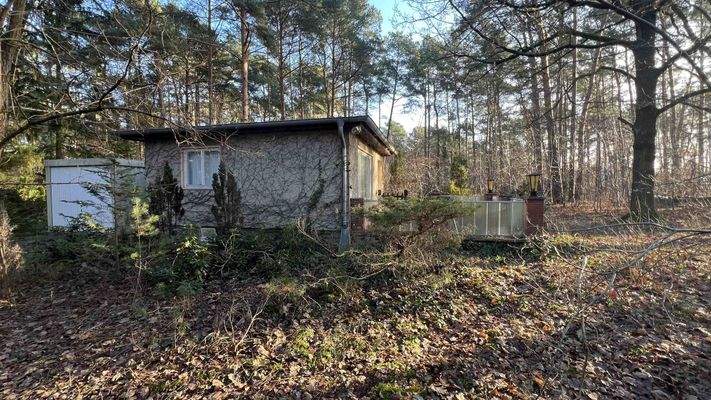 1123-2024-12-15 038.jpg