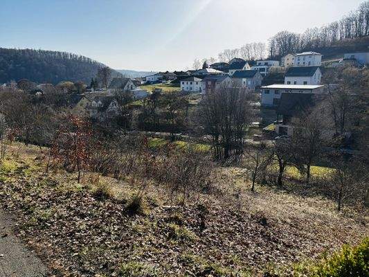 Ausblick/Grundstücksimpressionen im Winter