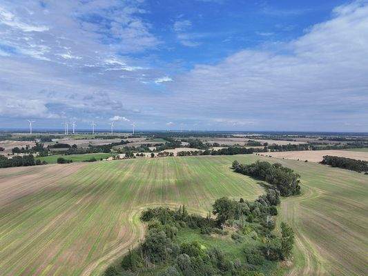 Blick über den Acker 