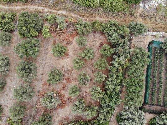 Kreta, Almyrida: Grundstück mit Baurechten und Meerblick zu verkaufen