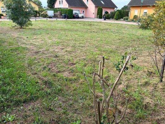 Blick auf die Siedlung - Einbettung des Grundstücks in die gepflegte Nachbarschaft