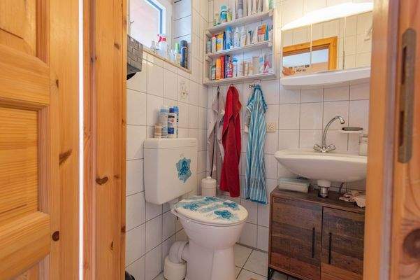 Gäste WC mit Dusche 