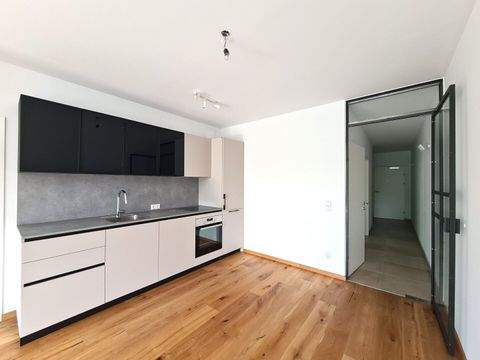 Pitten Wohnungen, Pitten Wohnung mieten