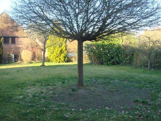  Bild 8,9,10  Rückseitiger Gartenbereich