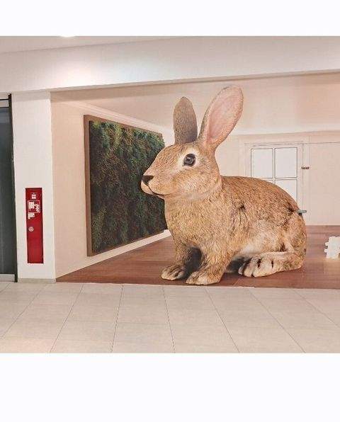 Göppingen Ladenlokale, Ladenflächen 