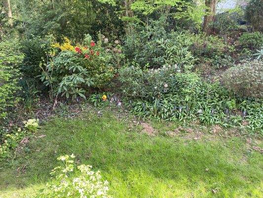 Gartenanteil - Teilansicht