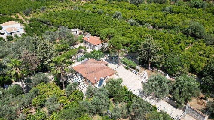 img_71dc7323-df1b-42cb-babc-073676dd98d5