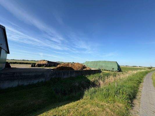 Dungplatte mit Rundballenlager