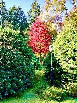 WhatsApp Image 2025-10-06 at 17.16.49.jpeg