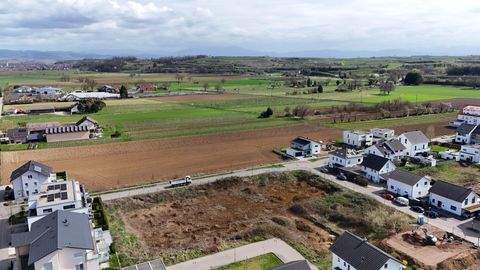 Endingen am Kaiserstuhl Wohnungen, Endingen am Kaiserstuhl Wohnung kaufen