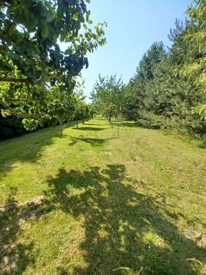 20220720_104836.jpg