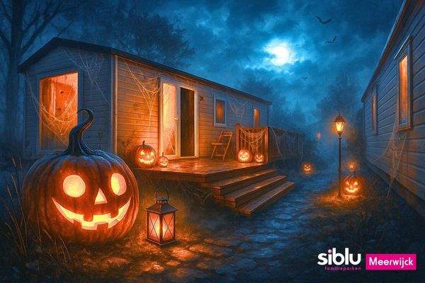 Ferienhaus Kaufen Friesland04