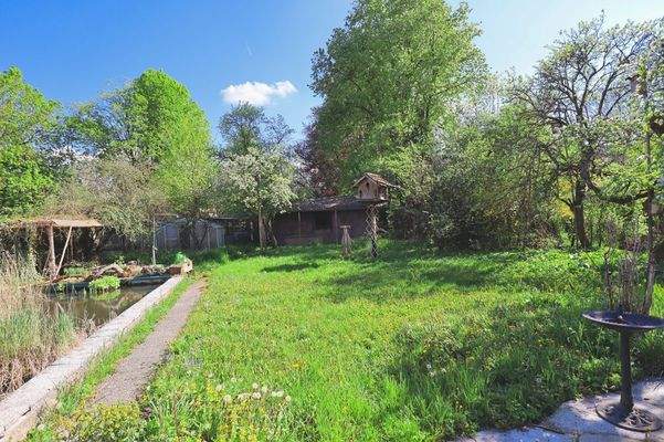 Bilder aktuell Grundstück (Richtung Süden)