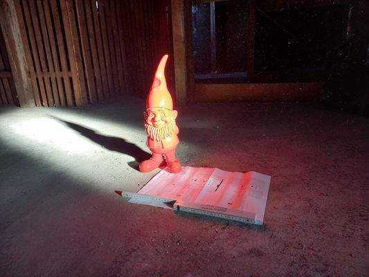 Eigene Wünsche einbringen!