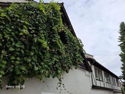 Grünstadt Häuser, Grünstadt Haus kaufen