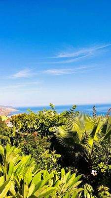 Terrasse mit Traumsicht