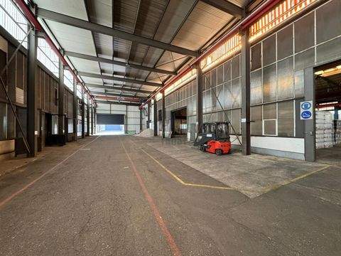 Offenburg Halle, Offenburg Hallenfläche