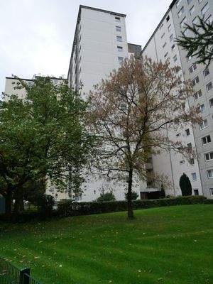 Falkenhorst 80003.jpg