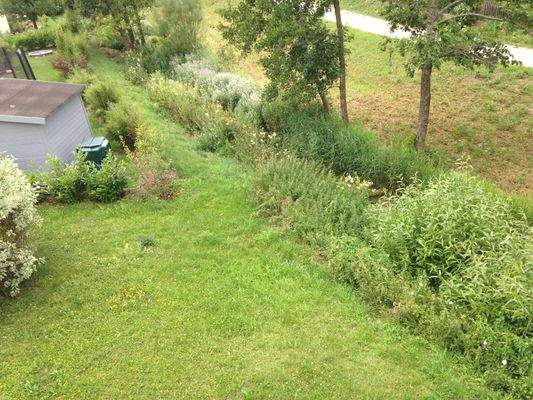 Blick vom Balkon - scheee