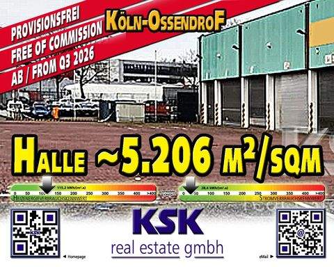 Köln Halle, Köln Hallenfläche