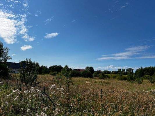 Truemper-Immobilien-Konarzewo-Grundstück00006