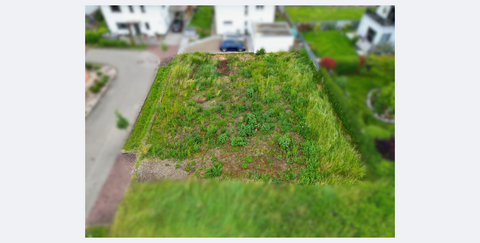 Endingen am Kaiserstuhl Grundstücke, Endingen am Kaiserstuhl Grundstück kaufen