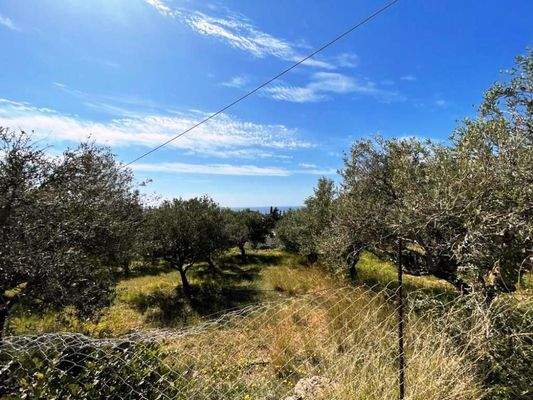 Südostkreta, Makry Gialos: Grundstück mit Meerblick zu verkaufen