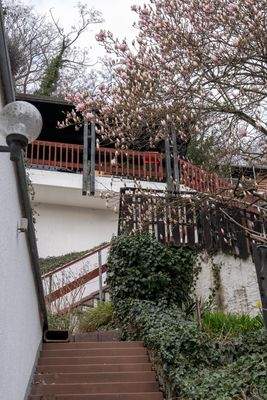 Treppenaufgang Außen.jpg