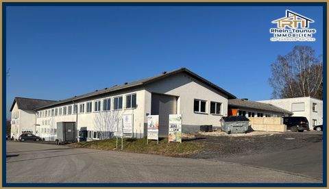 Hillscheid Halle, Hillscheid Hallenfläche