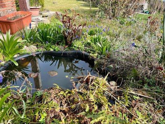 kleiner Springbrunnen