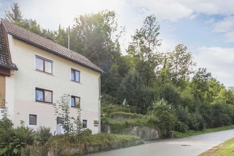 Horb am Neckar Renditeobjekte, Mehrfamilienhäuser, Geschäftshäuser, Kapitalanlage