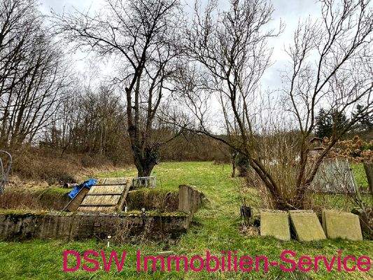 Bild4
