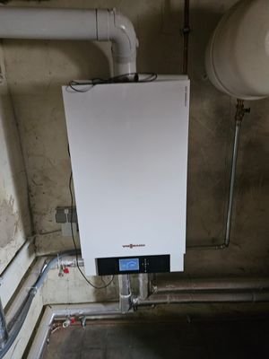 Keller: Viessmann Heizung