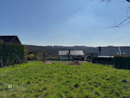 Blick vom vorderen Grundstück