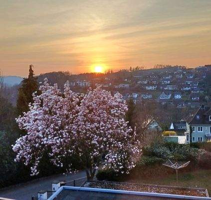 Willkommen Frühling!