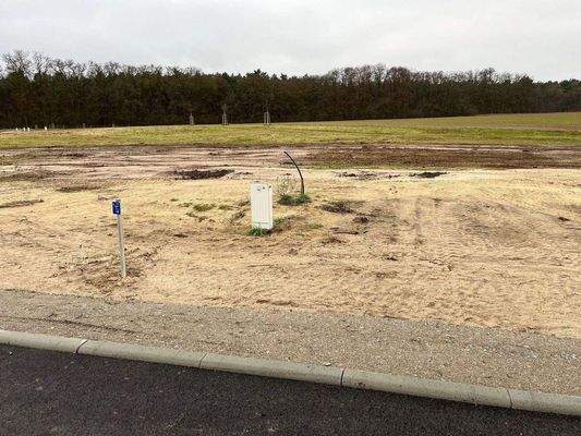 Gr. 24 rechte Seite.jpg