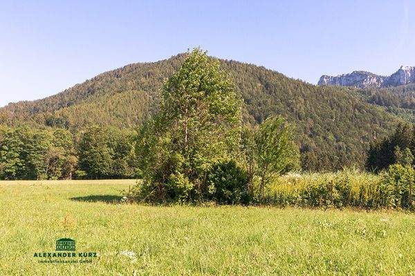 Bauernhof im Chiemgau Immobilien-Kurz-Salzburg