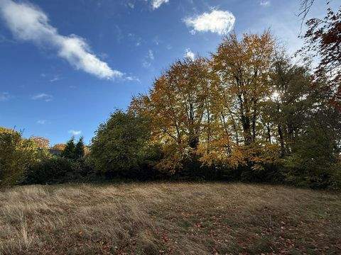Roetgen Grundstücke, Roetgen Grundstück kaufen