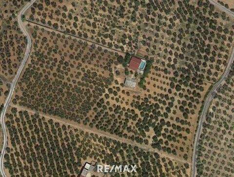 Carpino Häuser, Carpino Haus kaufen